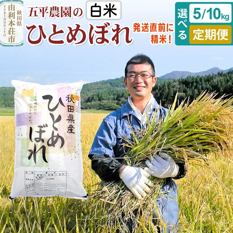 【ふるさと納税】【白米】ひとめぼれ5kg 10kg 令和7年産 秋田県産 五平農園のひとめぼれ【選べる容量5kg ／10kg・お届け回数】お米 米 こめ 五平農園