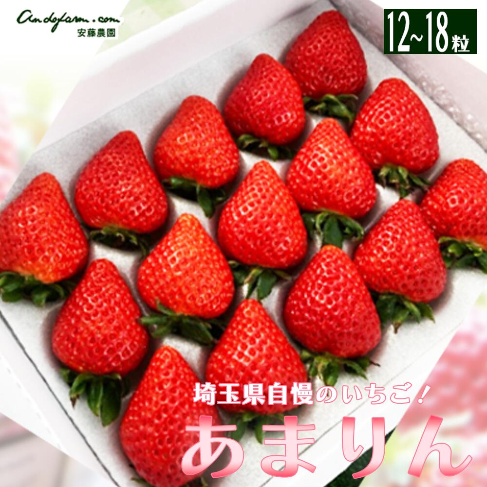 【ふるさと納税】＜先行予約＞埼玉県産　あまりん　12～18粒　【11218-0689】 いちご 深谷 深谷市 あまりん 安藤農園