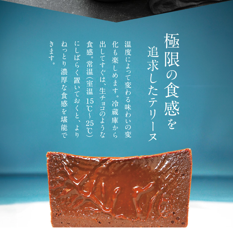 【テリーヌ専門店L】ミニサイズ濃厚チョコレートのテリーヌ【グルテンフリー・保存料不使用】ショコラ スイーツ チョコレート H173-017