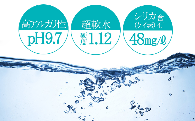 【12回定期便】飲む温泉水/美豊泉(20L×1箱)