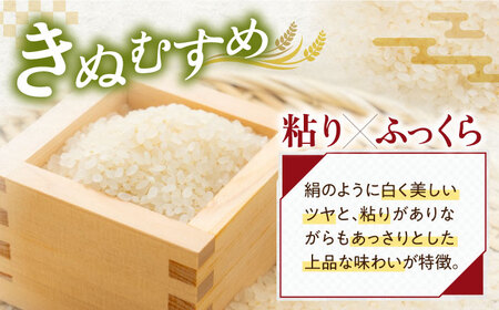 【令和7年産新米】きぬむすめ5kg 滋賀県長浜市/阿辻農園[AQAW015]