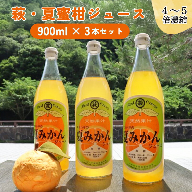 【ふるさと納税】【352047000606】萩名産夏蜜柑／萩・夏蜜柑ジュース　4倍濃縮・3本セット