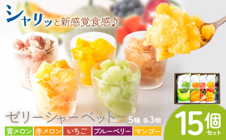 ゼリーシャーベット 15個セット(5種類×各3個) 道の駅七城メロンドーム《30日以内に出荷予定(土日祝除く)》メロン いちご マンゴー ブルーベリー シャーベット 洋菓子 お菓子 おやつ ゼリーシャ