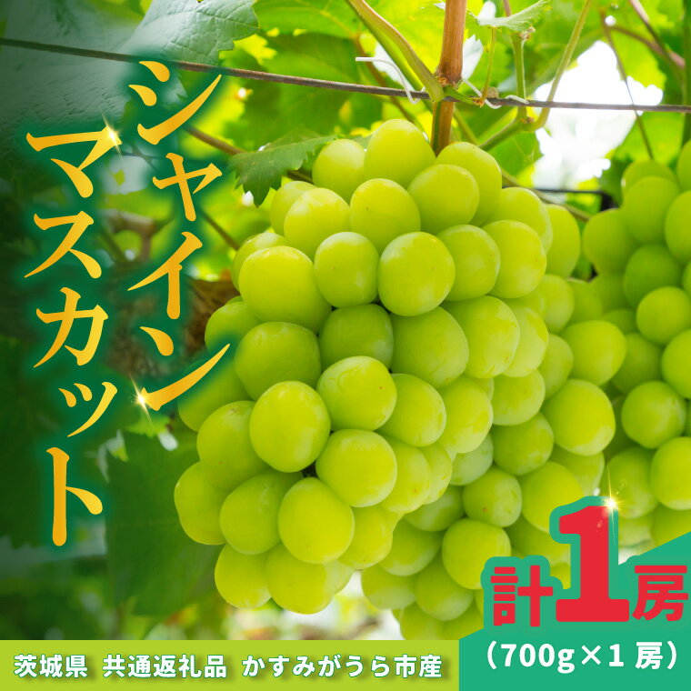 【ふるさと納税】シャインマスカット700g×1房【配送不可地域：離島・沖縄県】 (BR177)