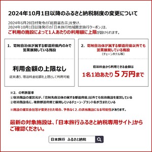 高知県土佐清水市 日本旅行 地域限定旅行クーポン 寄付額200,000円 クーポン60,000円分 【R01429】