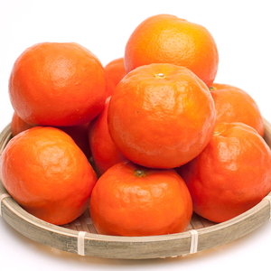 ＜4月より発送＞厳選セミノールオレンジ5kg+150g（傷み補償分）【春みかん】【有田産】【光センサー食べ頃出荷】 ※北海道・沖縄・離島への配送不可 ※着日指定不可 ※2024年4月上旬～5月下旬頃に