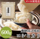 【ふるさと納税】令和6年産 飛騨産 コシヒカリ 600g お試しサイズ こしひかり 米 お米 精米 新米 白米 精白米 小分け 便利 新鮮 清水農園 メール便発送 [Q2727]