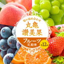 【ふるさと納税】フルーツ 定期便 12ヶ月 丸亀讃美果 セット 詰め合わせ 桃 シャインマスカット いちご ピオーネ みかん 旬の果物 旬のフルーツ 果物 くだもの 紅みかん せとか 清見オレンジ キウイフルーツ キウイ 12回 1年 お楽しみ 香川　定期便・ 丸亀市