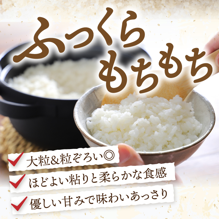 3人に1人がリピーター!☆全8回定期便☆ 岩手ふるさと米 10kg(5㎏×2)×8ヶ月 令和6年産 一等米ひとめぼれ 東北有数のお米の産地 岩手県奥州市産【配送時期に関する変更不可】 [U0167]