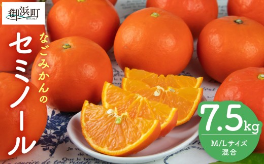 【2027年発送先行予約品】なごみかんのセミノール7.5キロ【数量限定 配送3月下旬から 果物 フルーツ みかん セミノール デザート 7.5kg 三重県 御浜町】