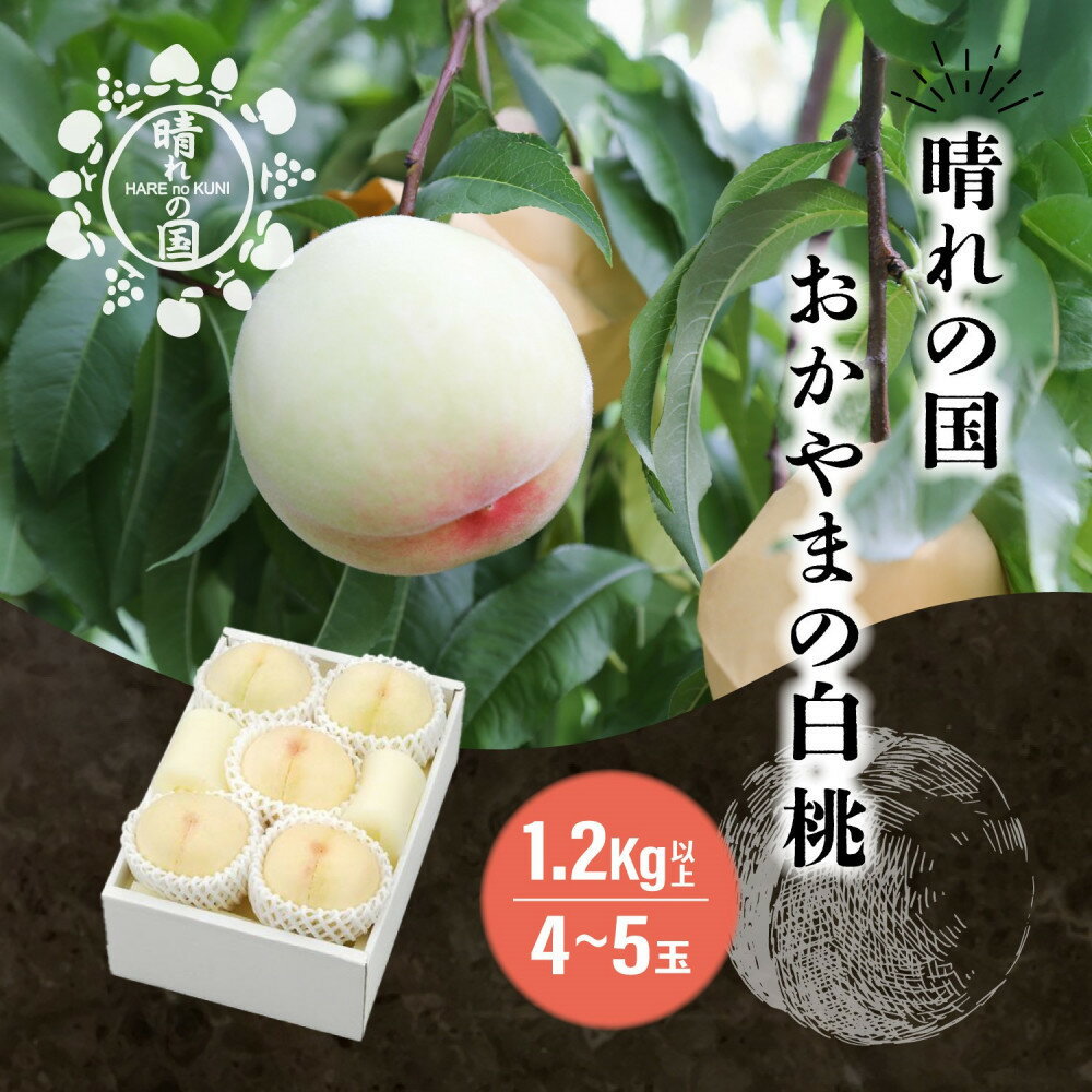 【ふるさと納税】【内容量が選べる】晴れの国 おかやまの白桃 1.2kg以上（4～5玉）又は2.0kg以上（7～8玉）＜先行受付：2026年8月中旬～発送＞