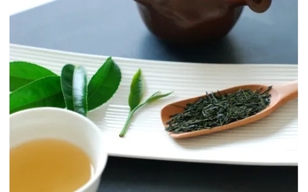 煎茶 3本セット 掛川産深蒸茶 天竜産煎茶 朝比奈産玉露 60g 