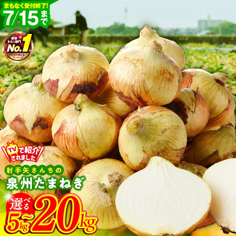 【ふるさと納税】 7/15 受付終了 1位獲得 高評価☆4.63 射手矢さんちの 泉州たまねぎ 5kg / 10kg / 20kg 訳あり 玉ねぎ 甘い 野菜 肉厚 水分多い 国産 M級以上 期間限定 おかず 副菜 レシピ 新たまねぎ オニオン サラダ カレー バーベキュー BBQ 肉じゃが 泉佐野市