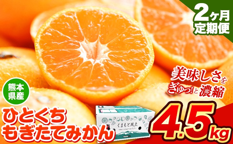 
                  【先行予約】【2か月定期便】訳あり みかん ひとくちもぎたてみかん 約 4.5kg (4.5kg×1箱) S-3Sサイズ 訳あり ご家庭用 熊本県産 （荒尾市産含む） 期間限定 フルーツ 果物 旬 冬 柑橘 小玉 みかん《10月上旬-11月末頃出荷》
                