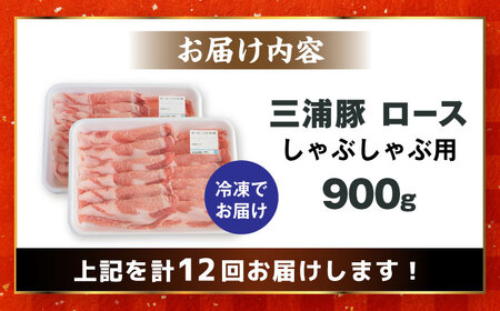 【12回定期便】 三浦豚 豚肉 ロース900ｇ（しゃぶしゃぶ用） / 恵那市 / あづま精肉店 [AUDL017]