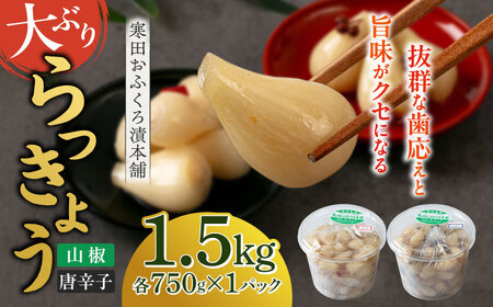 らっきょう 1.5kg（唐辛子750g・山椒750g）らっきょ ラッキョウ 辣韭 [ABDO005]