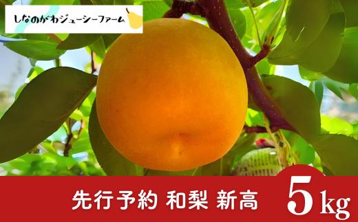 先行予約 和梨 新高 約5kg 令和8年度 新潟県 三条市産 梨 [しなのがわジューシーファーム]【015S134】