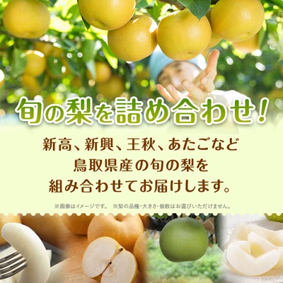 【訳あり】鳥取県産旬の梨セット 4kg【配送不可地域：離島・北海道・沖縄県】