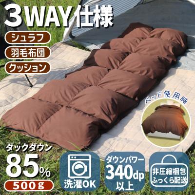ふるさと納税 広川町 羽毛シュラフ(寝袋)×ダウンケット×ボルスタークッション 3WAY寝袋 ダウン85% 0.5kg使用 | 