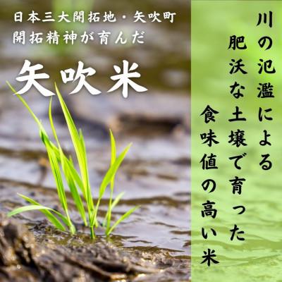ふるさと納税 矢吹町 〜黄金銀香〜〈福島県産〉コシヒカリ10kg(精米)甘みと旨味が感じられるこだわりの米 |  | 01