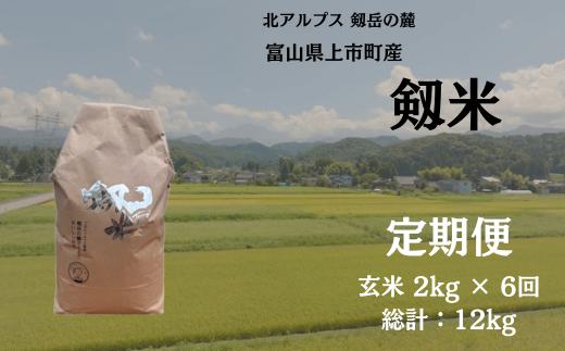 【毎月1回お届け】【定期便】【令和7年産】上市町産コシヒカリ「剱米」（玄米）2kg x 6回 計12kg　 [ソムリエH 富山県 上市町 32280253-r6-01】 米 ６ヶ月 6回定期便 定期購入 お米 コメ ご飯 ごはん 玄米ご飯 玄米ごはん こしひかり