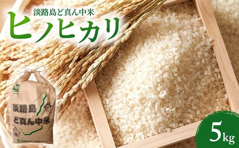 
            【令和７年度産先行予約】 淡路島ど真ん中米 ヒノヒカリ 精白米 5kg 兵庫県 洲本市 淡路島 [№5395-0411]
          