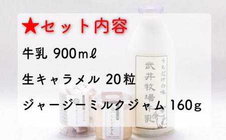 【価格改定予定】うちだけの味武井牧場セット