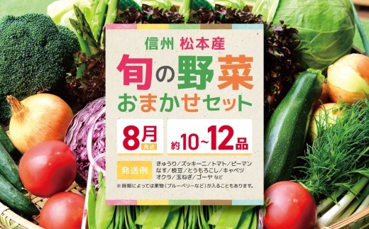 【先行受付：8月発送】信州松本産・旬の野菜 おまかせセット（約10～12品） │野菜 やさい 旬 旬の野菜 新鮮 自然 セット 野菜セット 美味しい 長野県 信州 松本 ふるさと納税