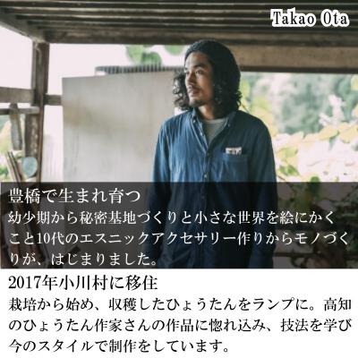 ふるさと納税 小川村 小さな村のひょうたん屋tern tern 天然ひょうたんのLEDフットランプ*460 |  | 03