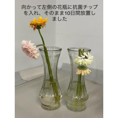 ふるさと納税 伊勢崎市 クリスマス純銅抗菌チップ　3個入り × 5袋 |  | 03