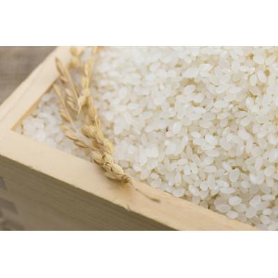 ふるさと納税 旭川市 令和7年産　特別栽培米ゆめぴりか 白米 5kg_00148 |  | 01