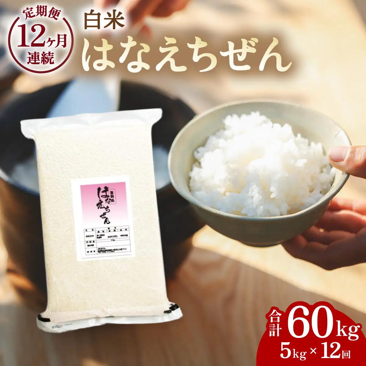 はなえちぜん 白米 5kg×12回 12ヶ月連続 定期便 60kg 真空パック ハナエチゼン 米 簡易梱包 エコ梱包