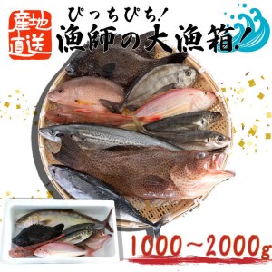 魚 鮮魚 ボックス 1kg～2kg 鮮魚ボックス