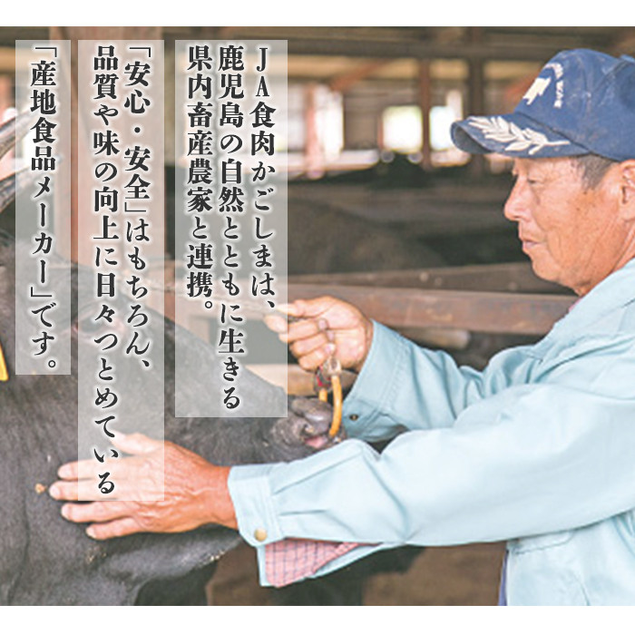 y608 《数量限定・特別企画》R-801 鹿児島黒牛カタローススライスセット(計1.2kg・300g×4P) 国産 九州産 牛肉 黒毛和牛 和牛 国産牛 お肉 スライス すき焼き しゃぶしゃぶ 小分