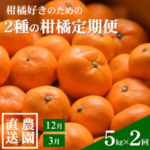【発送月固定定期便】農家直送!ご家庭用　2種の柑橘定期便(みかん・八朔)各5kg【訳あり】全2回【配送不可地域：離島・北海道・沖縄県】【4053556】