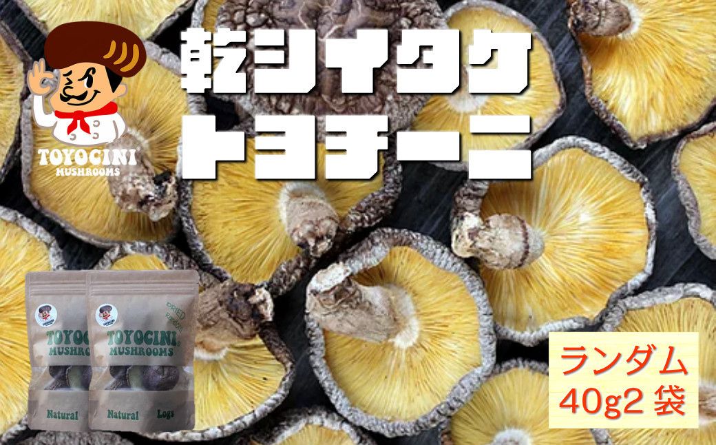 
乾椎茸 トヨチーニ・サイズランダム(計80g・40g×2袋)しいたけ 干し椎茸 原木椎茸【110300400】【松重　拓志】
