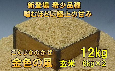 【玄米12kg】新登場の高級米 岩手県奥州市産 金色の風 令和6年産 玄米12キロ [AC031]