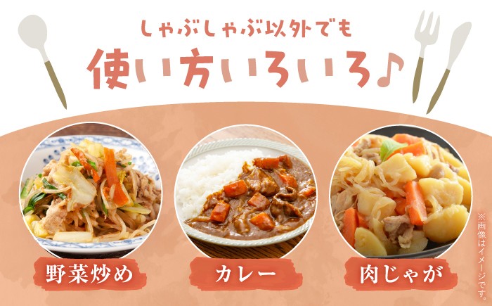 国産 豚肉 切り落とし きりおとし