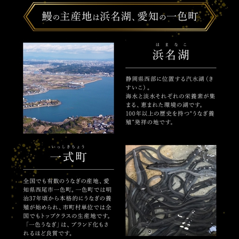 鰻蒲焼重箱「上」2個セット 山椒・漬物付き　ギフト ウナギ 鰻 蒲焼 国産 国内産 プレゼント 誕生日 お歳暮 上田市 コシヒカリ グルメ 贅沢