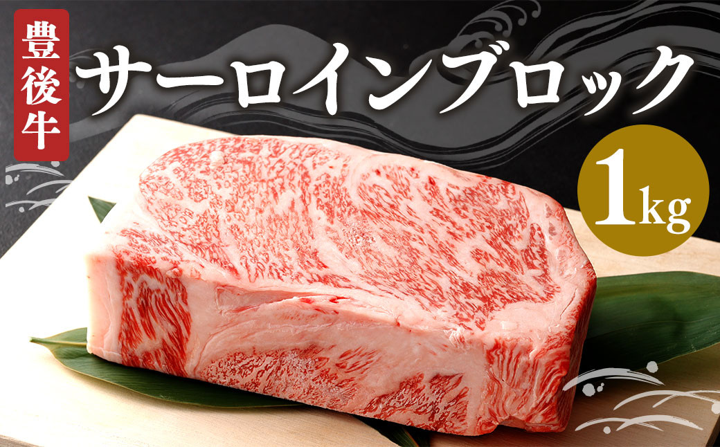 豊後牛 サーロインブロック 1kg