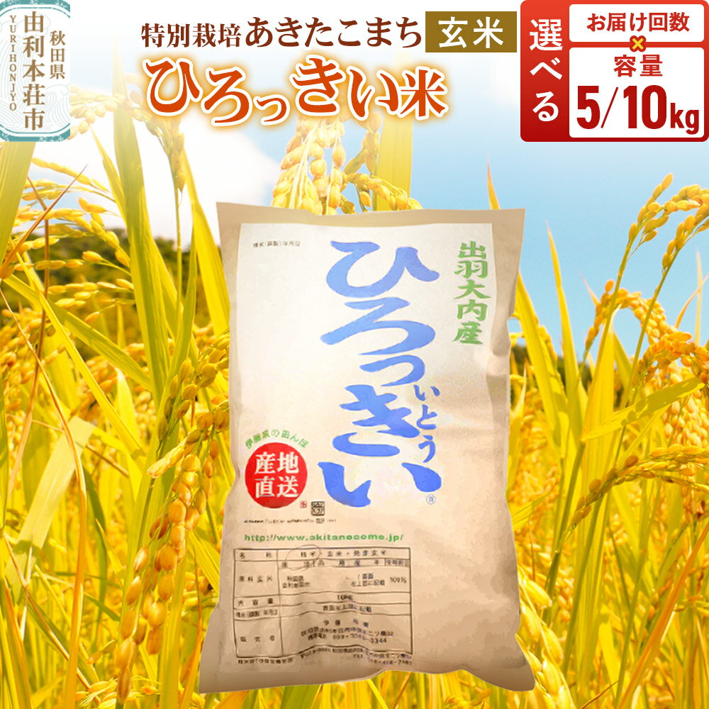 【ふるさと納税】【玄米】 秋田県産 特別栽培あきたこまち 令和7年産【選べる容量 5kg／10kg・お届け回数 1回~】ひろっきい米