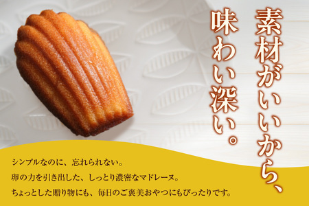 マドレーヌ 14個入 マドレーヌ 洋菓子 お菓子 スイーツ おやつ ルテイン 個包装 ギフト 贈り物 贈答 愛知県 東浦町