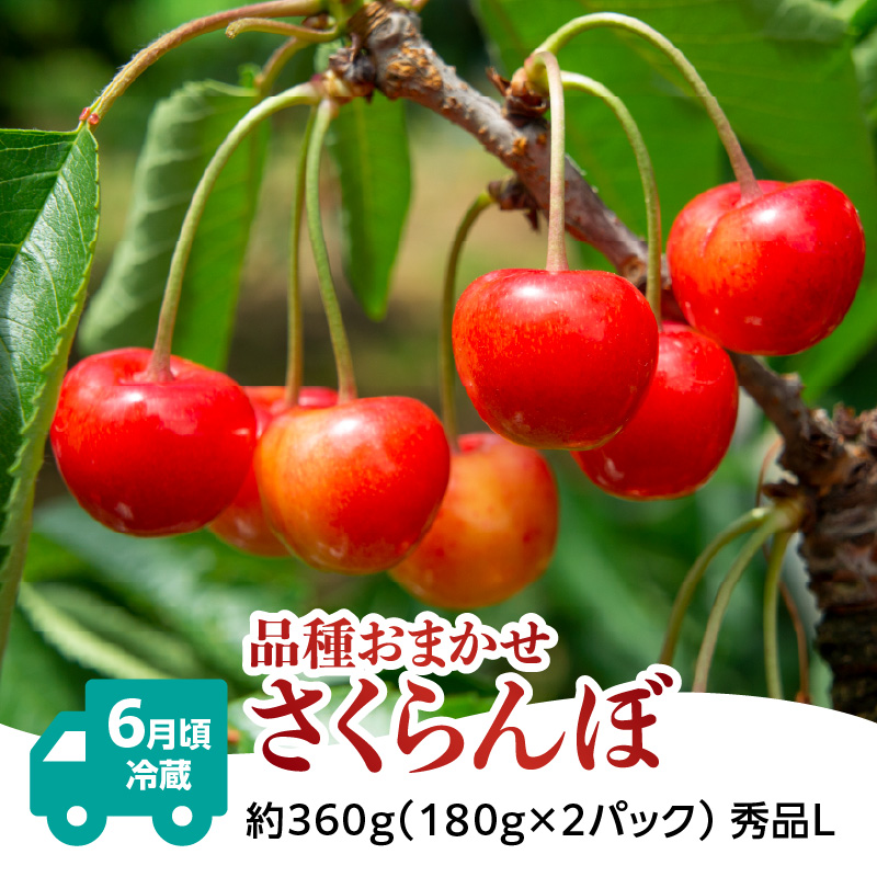 【発送月固定】山形旬彩！こだわりフルーツ定期便全３回Ｂ