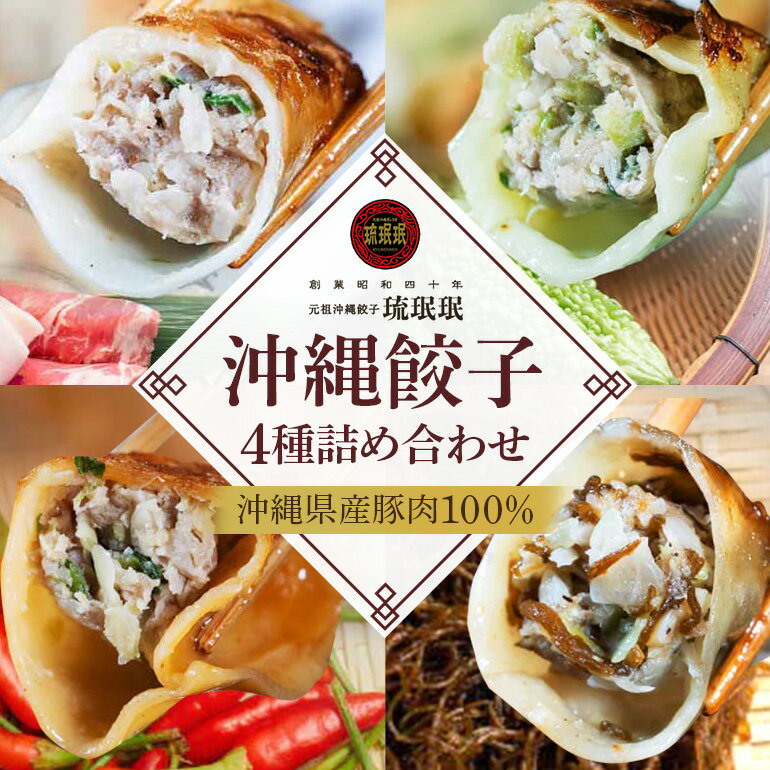 【ふるさと納税】【琉みんみん】沖縄餃子 詰め合わせパック　4パック 　48個入り