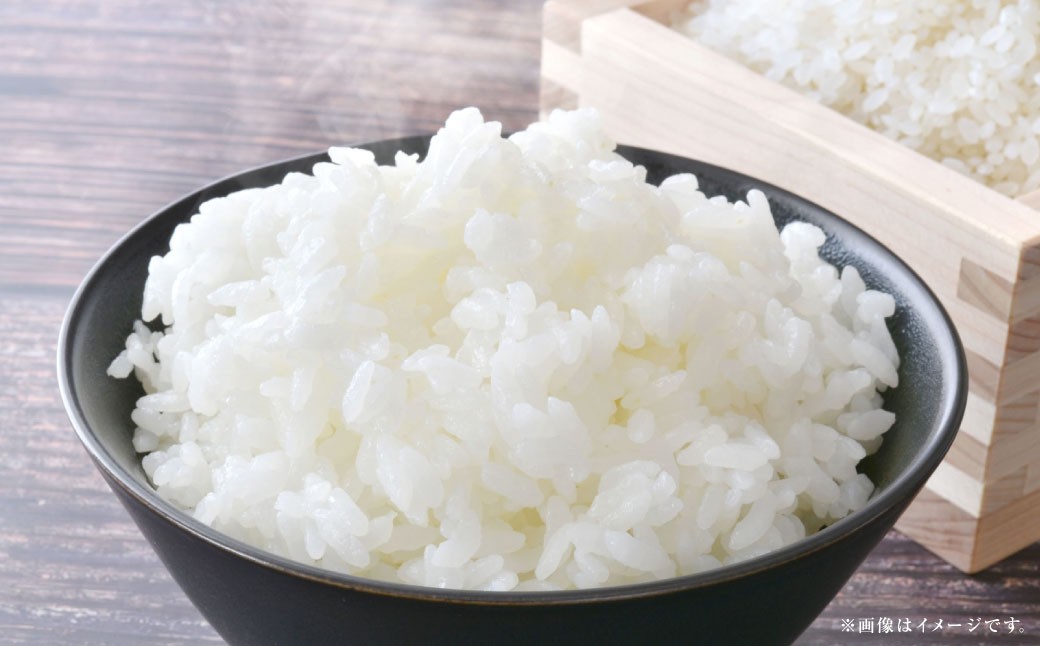  岡山県産 コシヒカリ 10kg （ 5kg × 2袋 ）