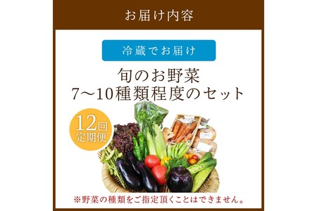 野菜 定期便 12回【アスカ有機農園】京の旬野菜セットS（栽培期間中農薬・化学肥料不使用）＜京都 オーガニック アクション加盟＞京野菜セット・野菜 詰め合わせ・栽培期間中 無農薬・有機野菜（オーガニッ