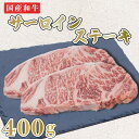 【ふるさと納税】 ステーキ 肉 牛肉 400g 黒毛和牛 国産 サーロイン 2枚 阿波牛 焼肉 バーベキュー BBQ アウトドア キャンプ 阿波市 徳島県