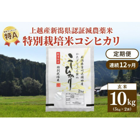 定期便 12ヶ月 新潟県認証減農薬米 特別栽培米 コシヒカリ 玄米 10kg (5kg×2袋) 米 お米 こめ こしひかり