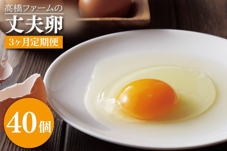 
            【3ヶ月定期便】国産たまご「高橋ファームの丈夫卵」40個入り｜平飼い鶏舎 卵 玉子 タマゴ 鶏卵 朝食 生卵 卵かけごはん (AQ014)
          