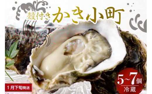 【2026年1月下旬発送】宮原水産 かき小町 殻付き 5～7個 ku005-006-01-3-25